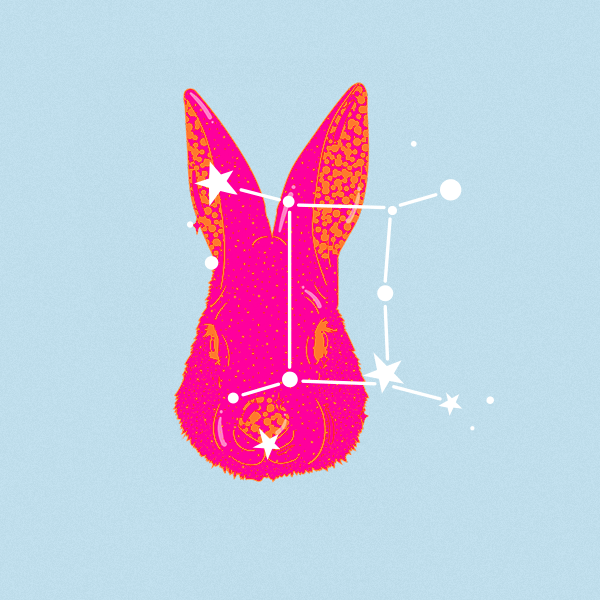 Близнецы-Кролик (Кот)