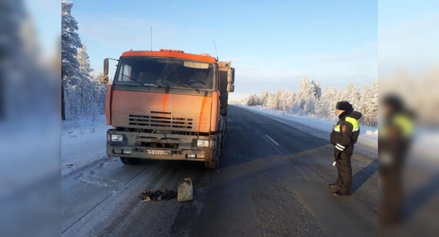 В Брянской области сотрудники ГИБДД проверят водителей грузовиков Автограмота