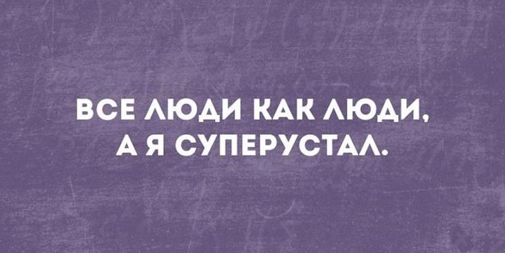 15 ироничных остроумных фразочек в картинках для отличного настроения 