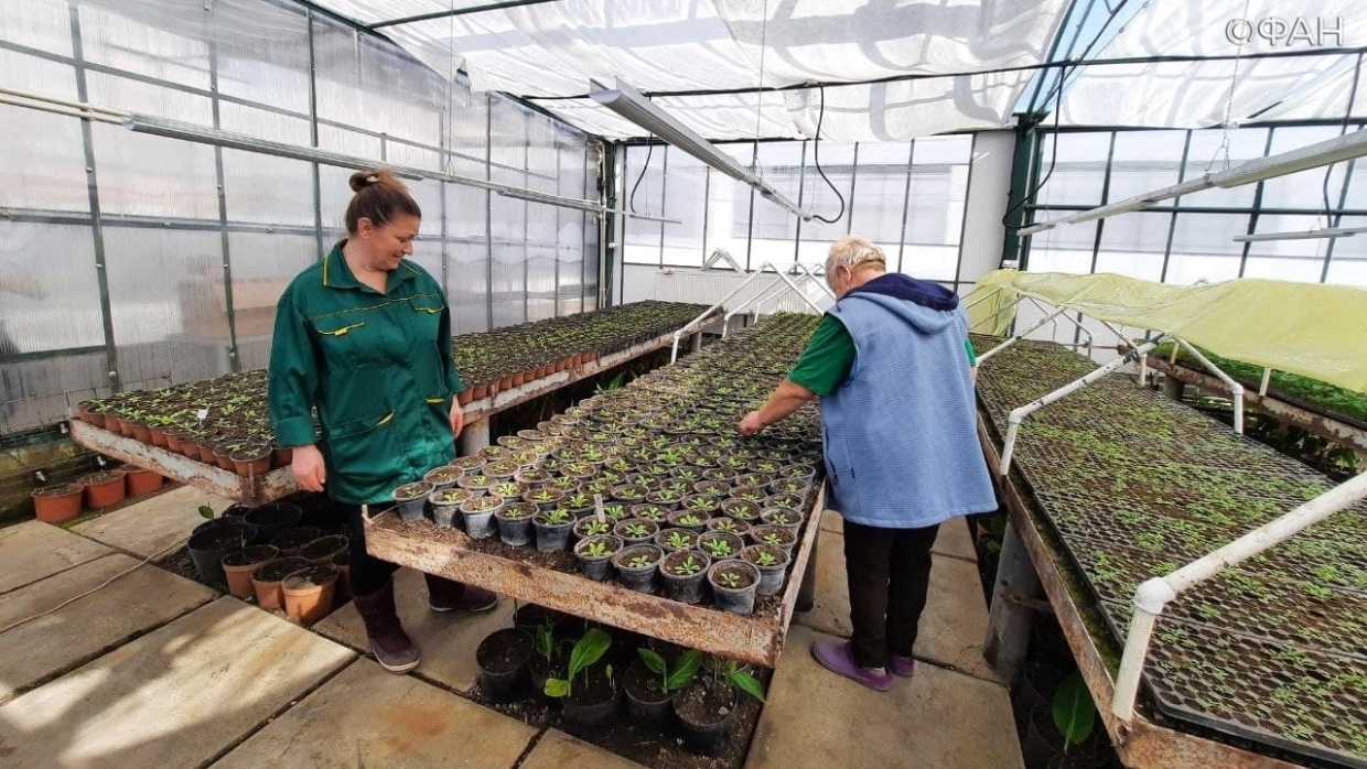 Симферополь засадят удивительными цветами: «Горзеленхоз» готов удивить новыми сортами