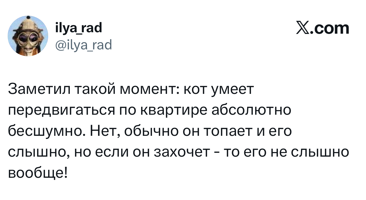 Самые смешные шутки четверга и «абсолютно любой сербский фильм» format-article,noindex,twitter (твиттер),социальная сеть,Развлечения