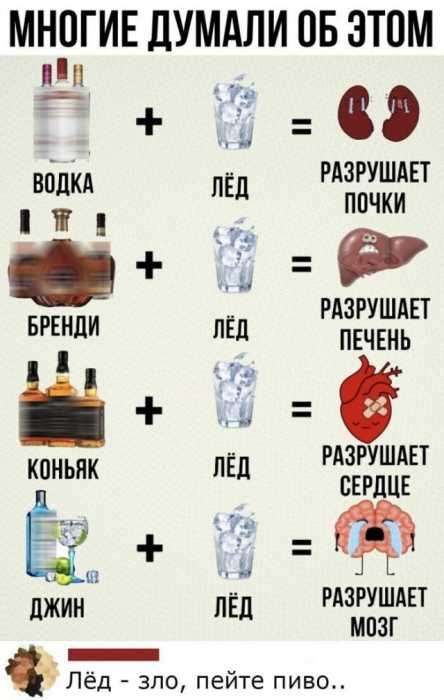 Забавные высказывания из социальных сетей 