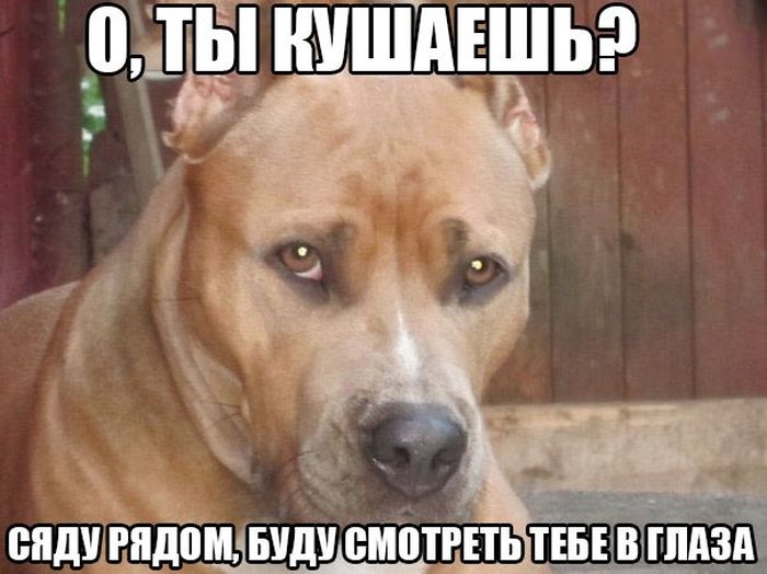 Открытка, картинки с надписью бегом