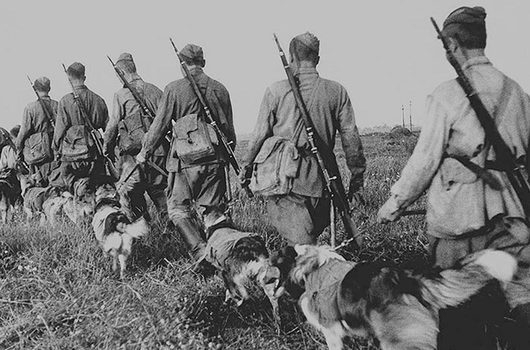 Ценой жизни ﻿