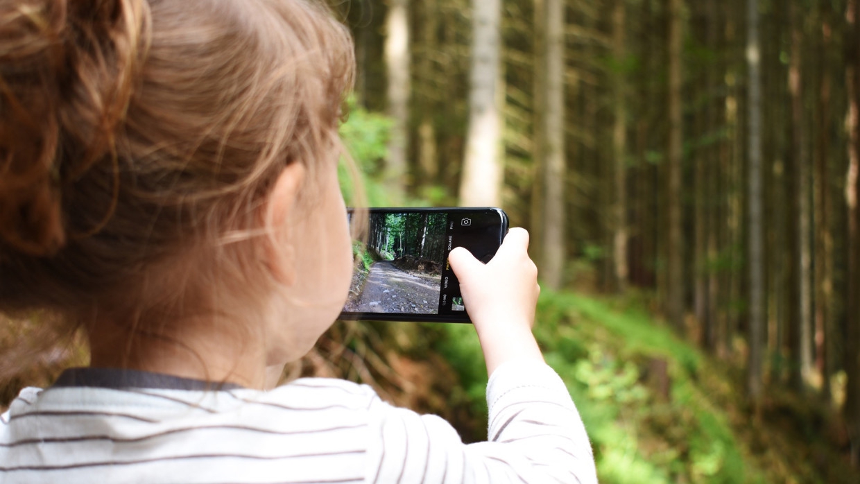 В Роскачестве объяснили, почему нельзя выбрасывать старый смартфон В Роскачестве объяснили, почему нельзя выбрасывать старый смартфон Технологии