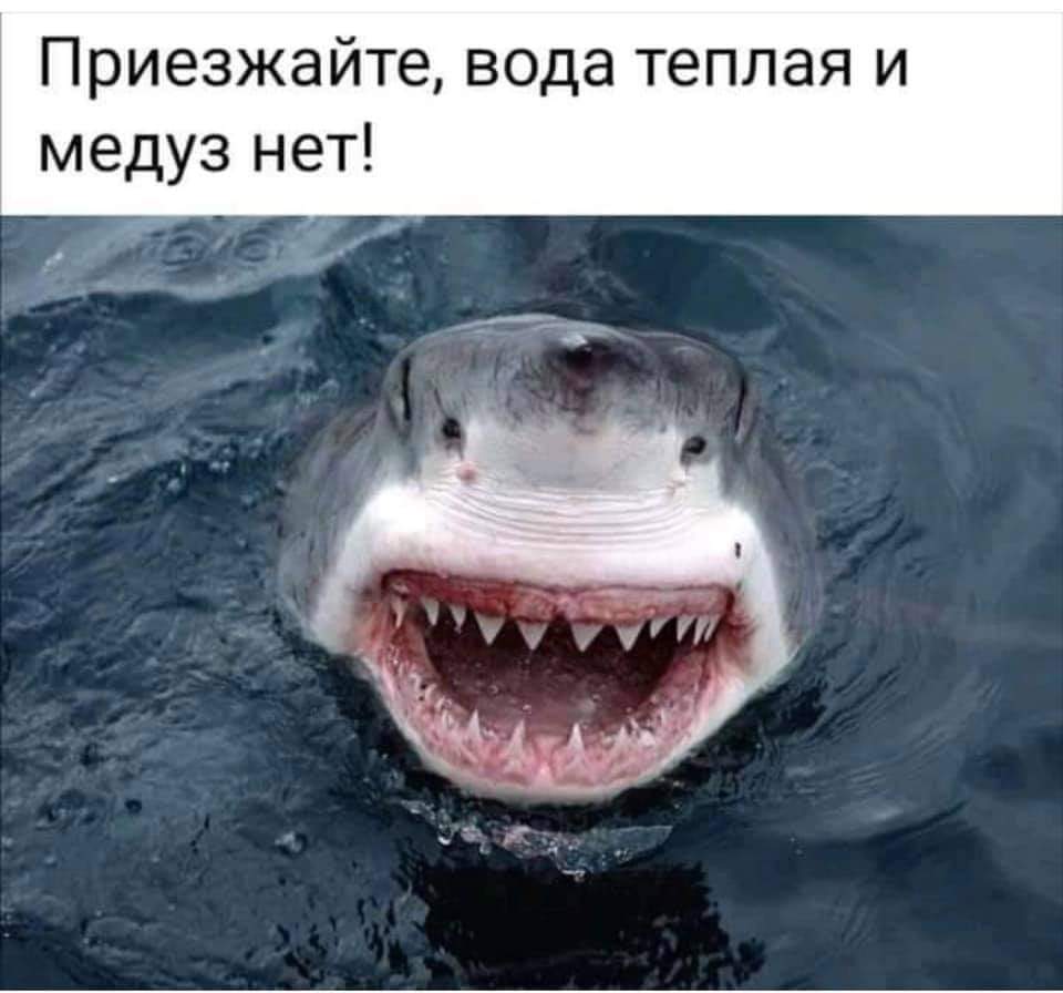 ОТПУСК/КАНИКУЛЫ ОТПУСК/КАНИКУЛЫ