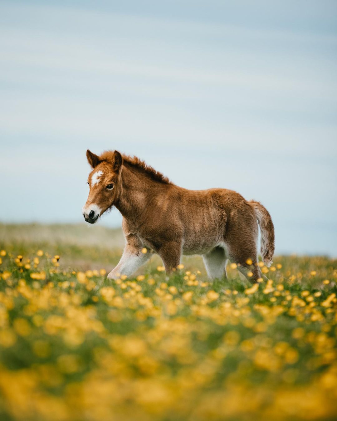 Жизнь как путешествие: девушка колесит по миру и делится снимками нашей планеты 