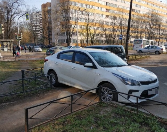 Подборка прикольных картинок  смешные картинки