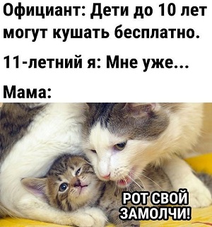 Дневник котэ (один день из жизни) Получилось, можно, мести, куртку, спать,  Утро Эта, разложила, инстинкт, точка, когтеточки…Отдохнуть, решила, Паззлы, Собирать, возможность, рожей, угламВечер Эта, зараза, забыла, гадство, пойму