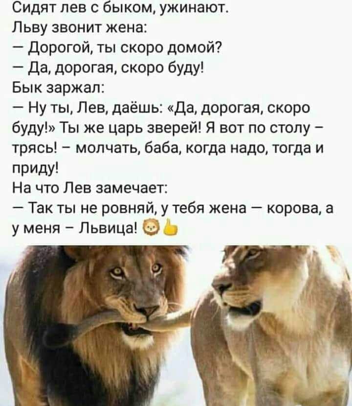 В метро:  - Уважаемые пассажиры! Уступайте места людям пожилого возраста... Весёлые,прикольные и забавные фотки и картинки,А так же анекдоты и приятное общение