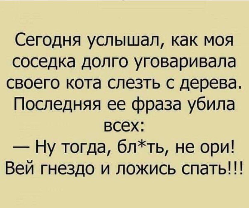 В наше время тоже были социальные сети. Пишешь на стене подъезда имя, а через день - вот тебе рядом и статусы, и комментарии... анекдоты,веселые картинки,приколы,юмор
