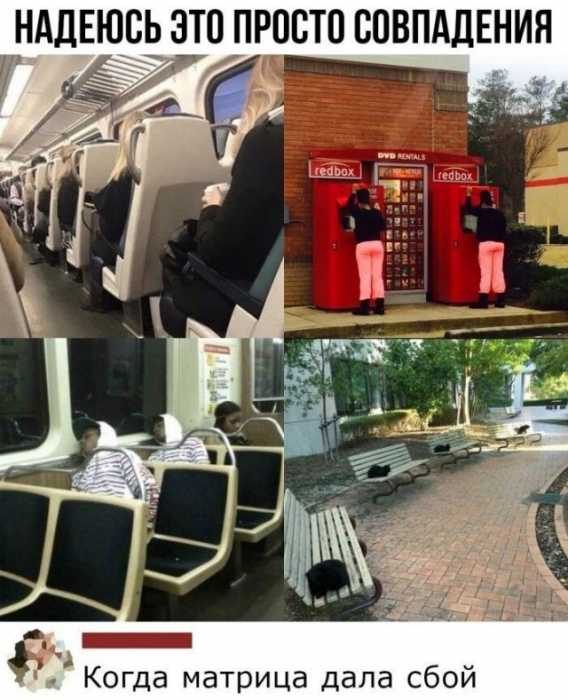 Забавные высказывания из социальных сетей 