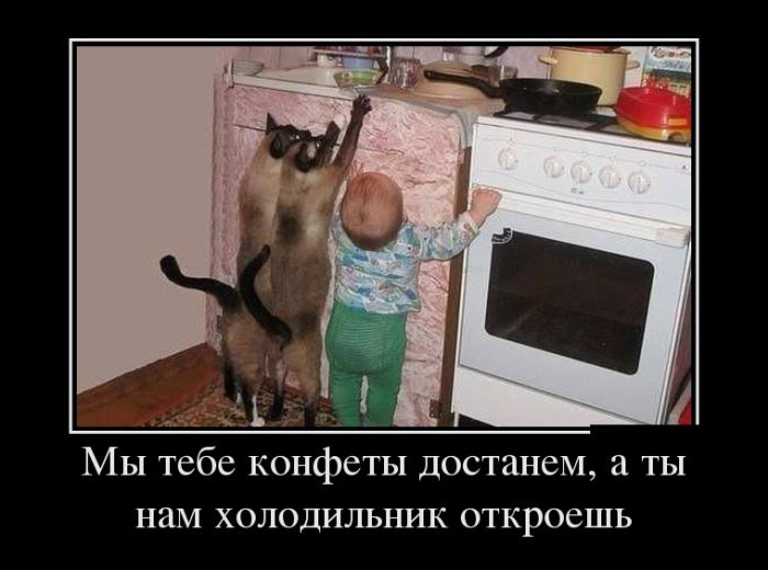 [20] Демотиваторы (30 фото)