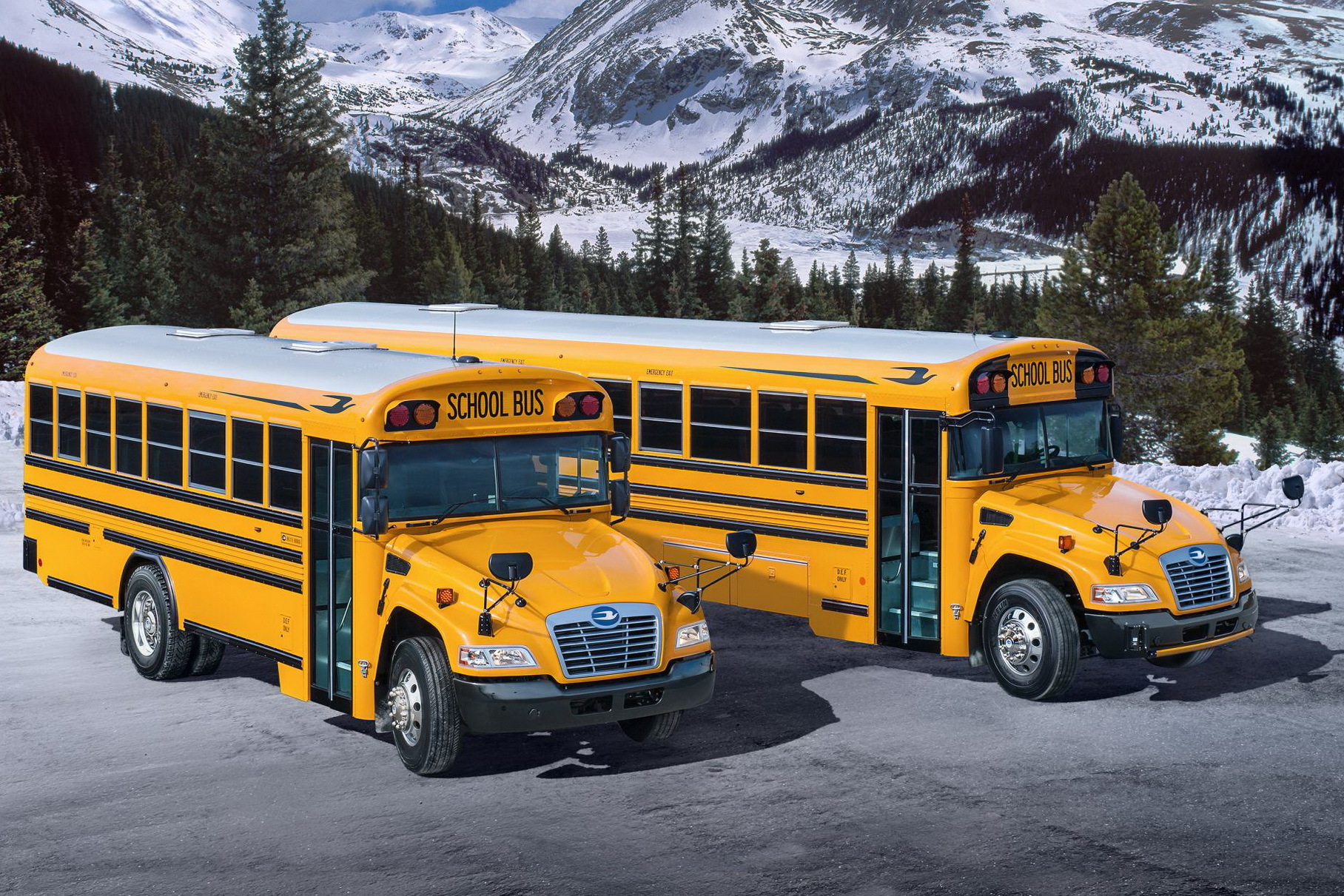 Ford нашел новое применение «атмосфернику» V8 объемом 7,3 литра