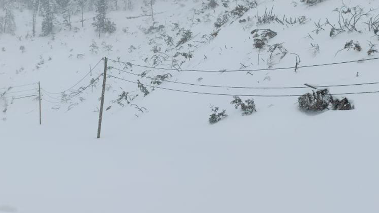 Лавина накрыла сноубордиста на закрытой трассе в Краснодарском крае