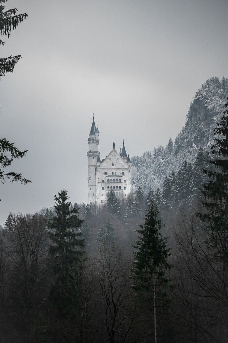 13 фото с конкурса Landscape-2019, после которых вы захотите отправиться в путешествие конкурса, Представляем, Китая, немецкий, Сказочный, у замка, Автор kveikjan GermanyПервый, из окна, Автор Panvelvetora РоссияВид, старых, городов, Нойшванштайн, известных, из самых, одним, Фэнхуаном, закат, Захватывающий, замок, Автор drehermj