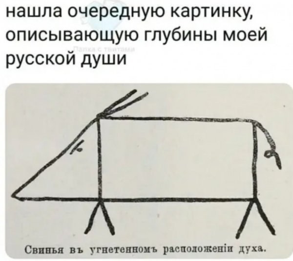 Юмор на любителя