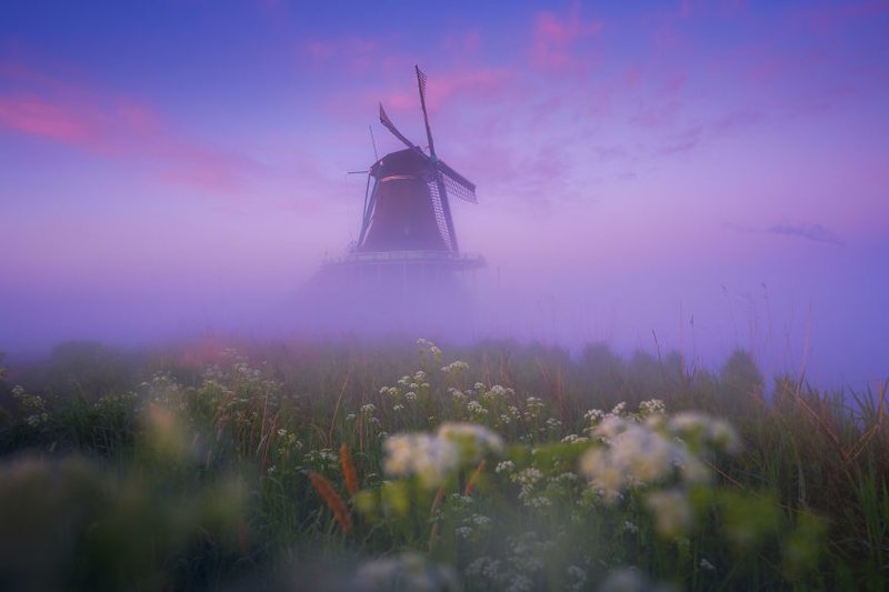 Перед рассветом. Мельница, плывущая в тумане Заансе Сканс, ветряные мельницы, волшебные места, голландия, деревня мельниц, красота, туман, фото