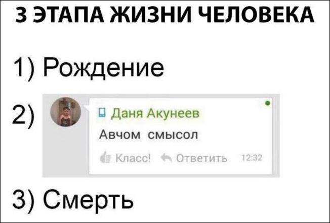 Прикольные картинки прикольные картинки