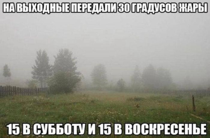 Сопелье — сотрудник аптеки, помогающий подобрать подходящий спрей от насморка 