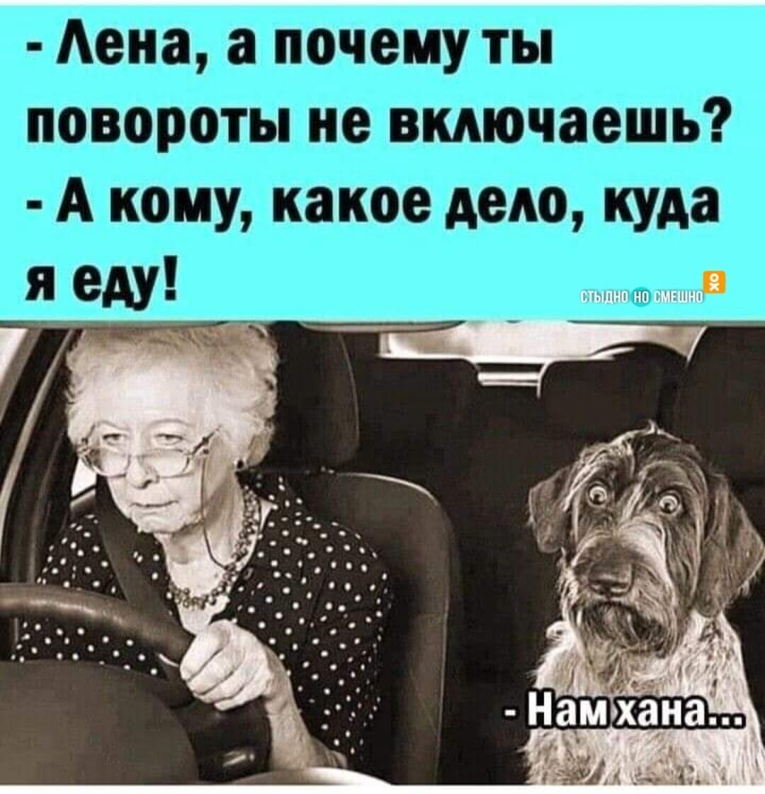 Юмор из интернета 695 позитив,смех,улыбки,юмор