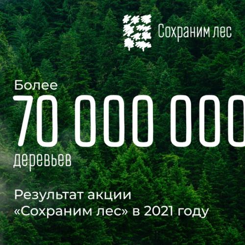 Более 70 млн новых деревьев появилось в России.