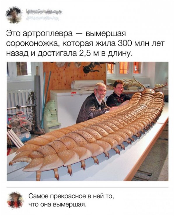 Комментарии от обладателей острых языков в интернете