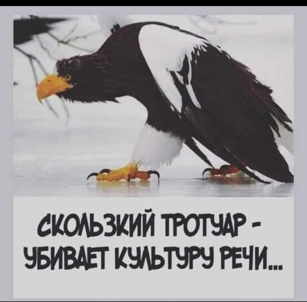 Юмор из интернета 669 Юмор из интернета 669 позитив,смех,улыбки,юмор