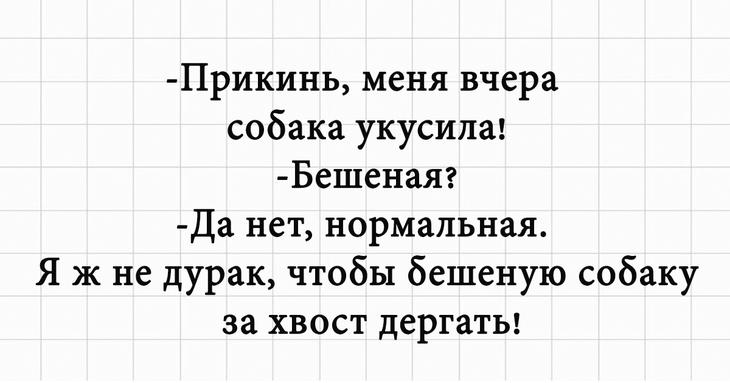 Шутки для хорошего настроения, добрые и смешные 