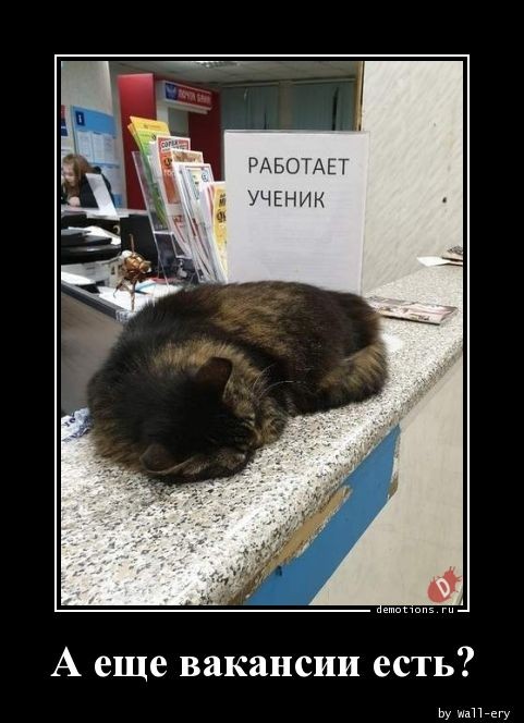 Демотивирующие картинки: «Развод и раздел имущества» 