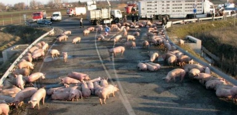 Александр Роджерс: США сигналят Украине