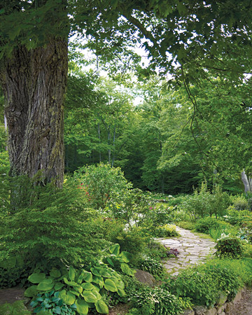 wild-garden-inspiration-naturalness1.jpg wild-garden-inspiration-naturalness1.jpg