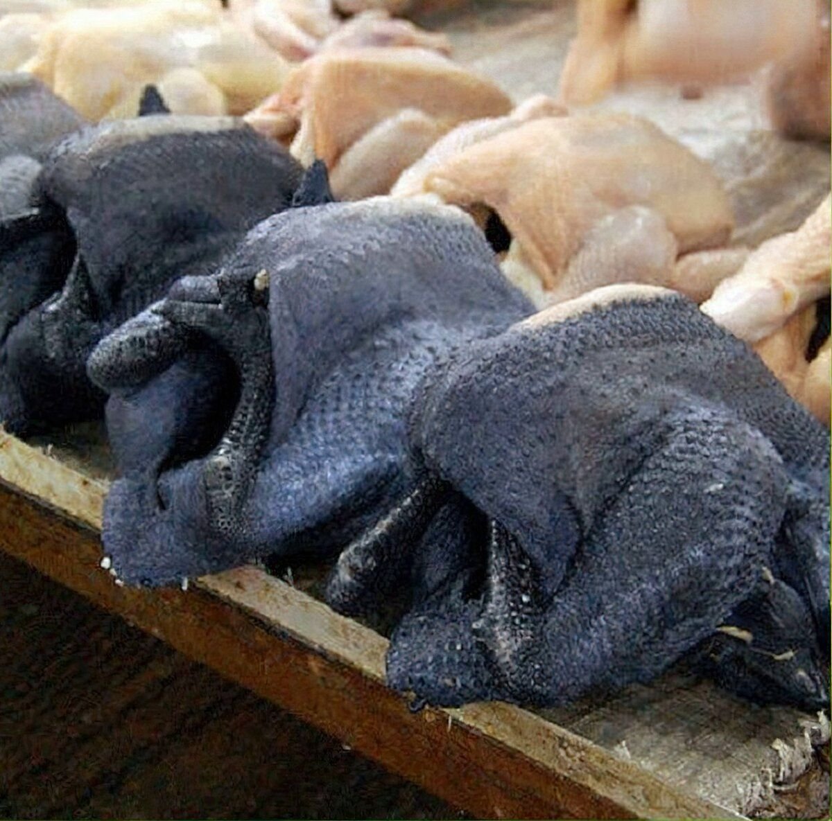 Тушки китайских шелковых кур, которые не имеют отношение к аям чемани/ © kulturologia.ru
