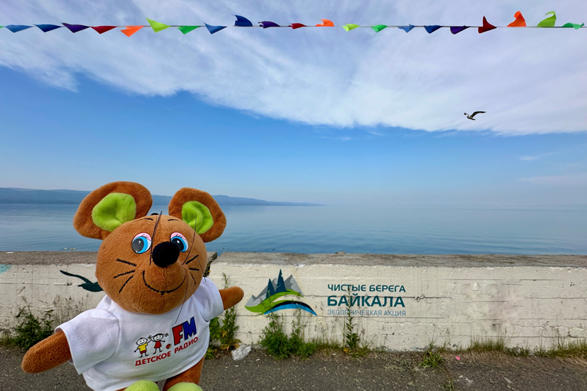 8. Без подписи