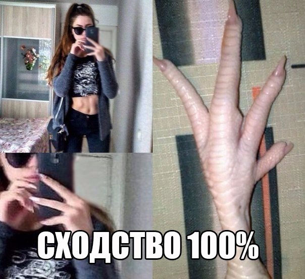 bisocnet foto prikol