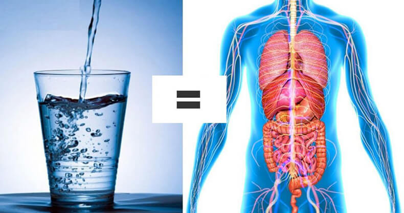 Что будет, если каждый день выпивать стакан теплой воды натощак  вода,здоровье и медицина, натощак, организм, полезно, утро