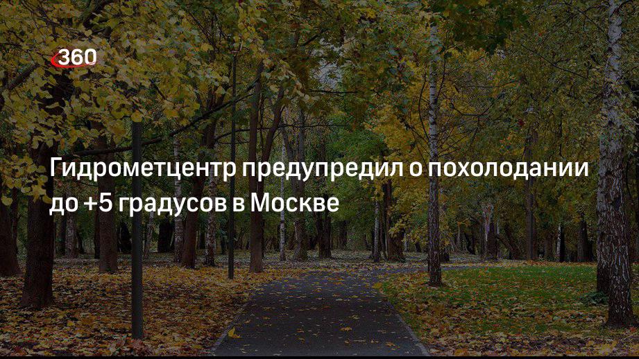 Гидрометцентр предупредил о похолодании до +5 градусов в Москве
