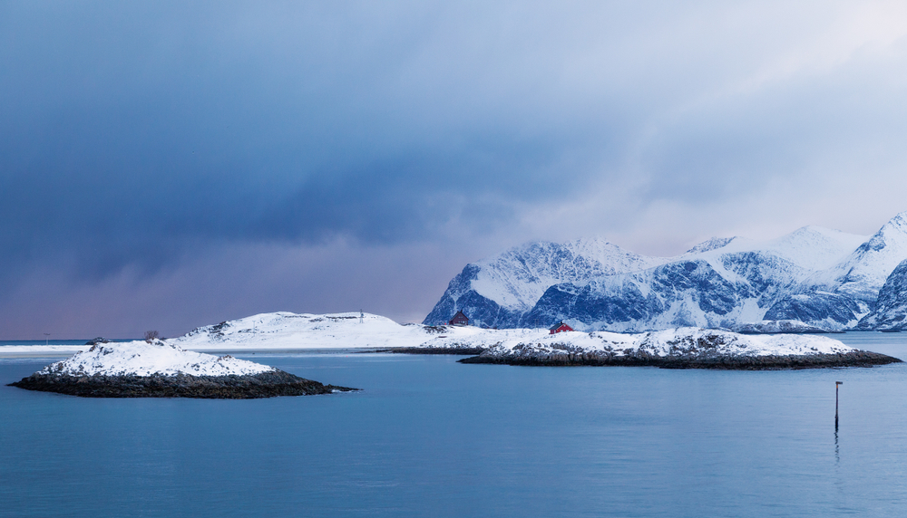 США командуют: «Брысь из Арктики, русские!» США командуют: «Брысь из Арктики, русские!» геополитика