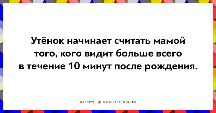 20 неожиданных фактов, которые на самом деле чистая правда