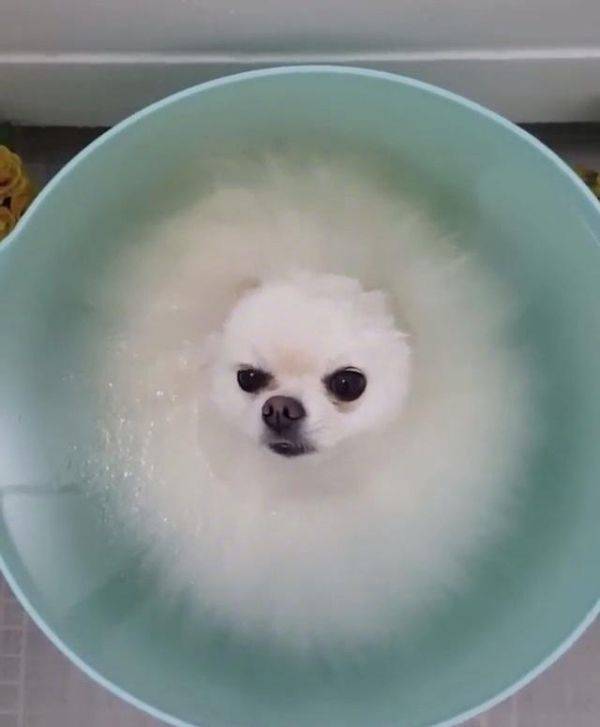 Подборка прикольных картинок Подборка прикольных картинок приколы,смешные картинки,юмор