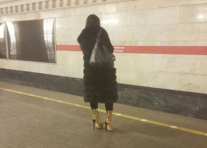 дикая кошка