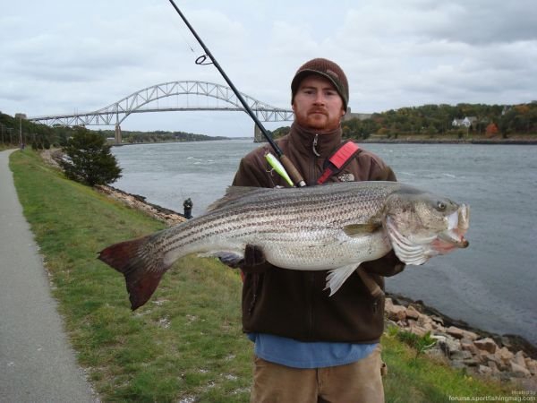 Деревенская Америка Деревенская Америка заграница,путешествие,страны,туризм