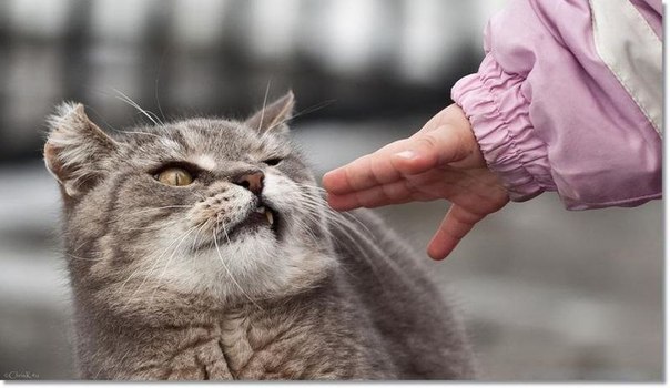 Такие разные люди