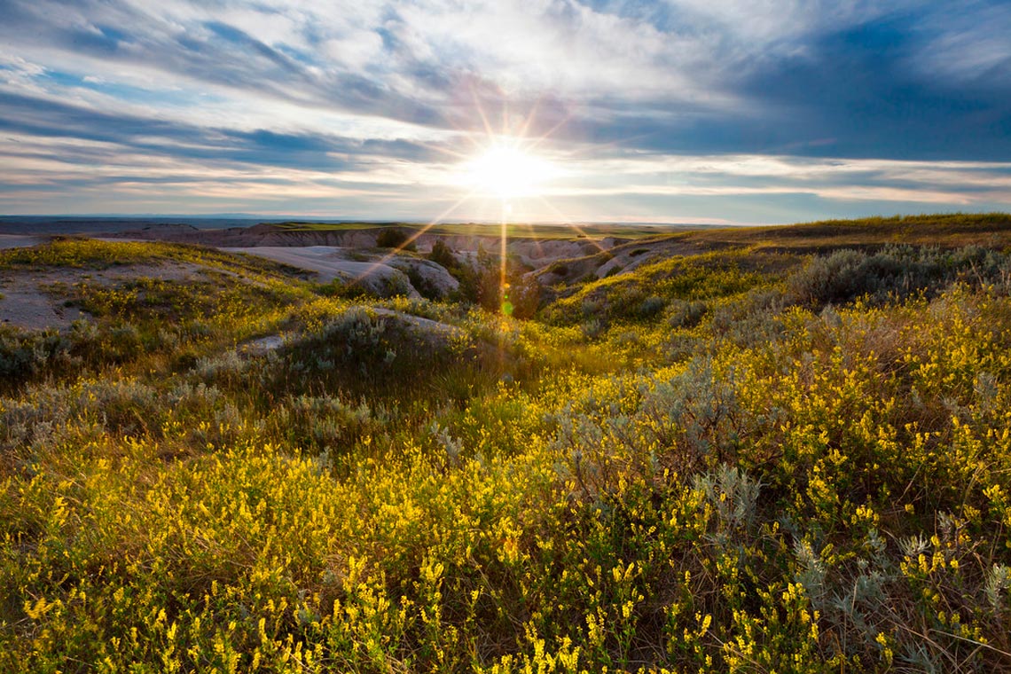 Desert badlands, USA