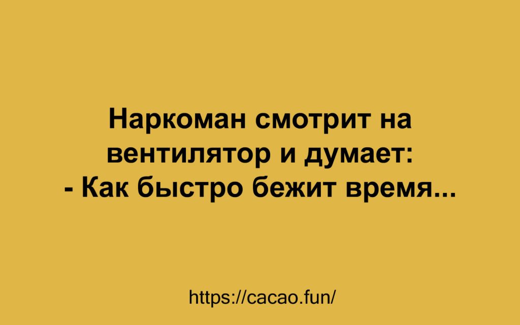 Новая десятка анекдотов: смешно и со вкусом Новая десятка анекдотов: смешно и со вкусом