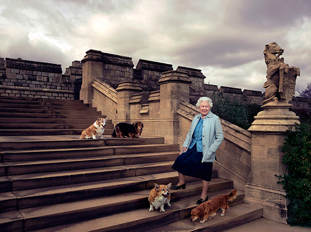 Елизавета II дала необычные клички своим новым собакам Елизавета II дала необычные клички своим новым собакам Монархи,Британские монархи