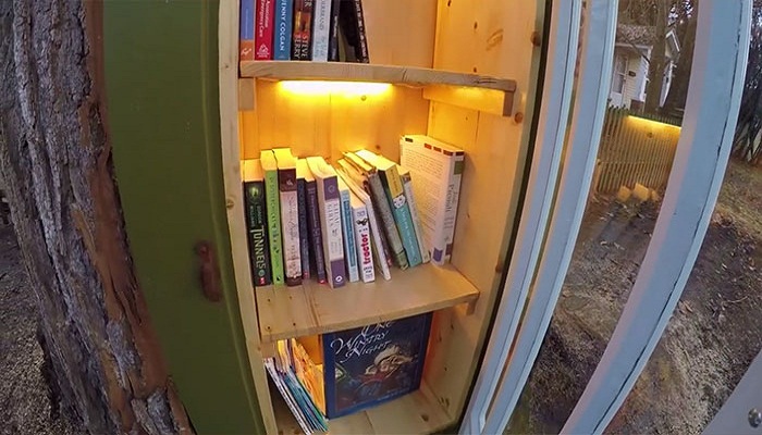 Внутри дерева выбрали гнилую древесину и установили короб с полками (Little Free Library, Кер-д'Ален). | Фото: boredpanda.com.