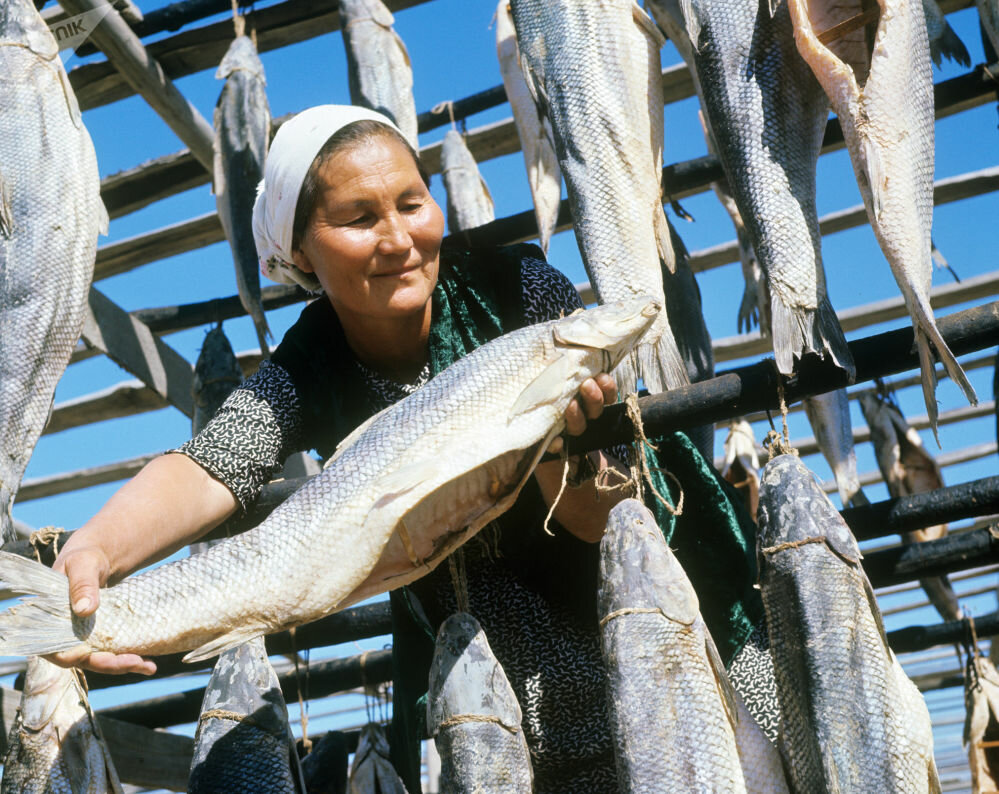 1968 г. Труженица Бегуньского рыбзавода. Казахстан.