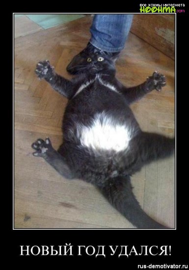 Веселые истории о нас. Предновогоднее настроение Веселые истории о нас. Предновогоднее настроение