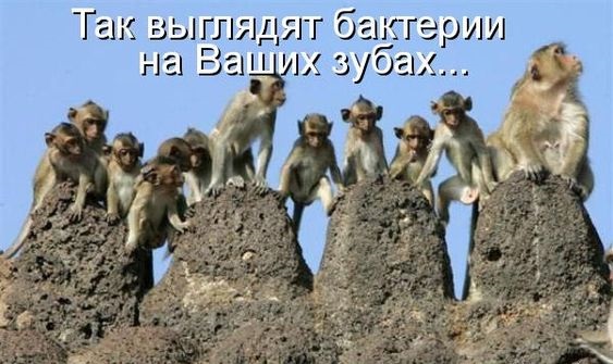 Свежая выжимка юмора из сети Свежая выжимка юмора из сети